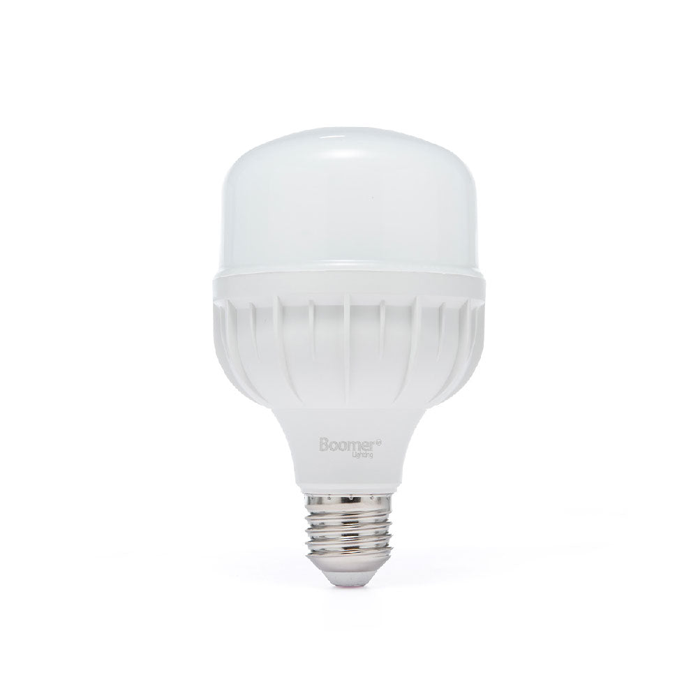 FOCO LED ALTA POTENCIA T, 20W, LUZ FRÍA, 1800 LM