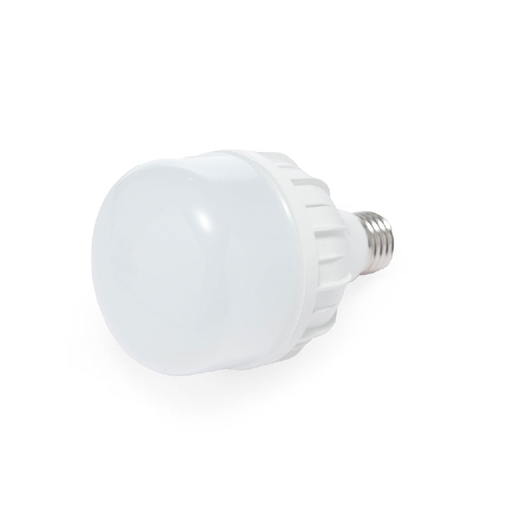 FOCO LED ALTA POTENCIA T, 20W, LUZ FRÍA, 1800 LM