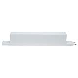 FUENTE DE PODER HS-ION BLANCO, 100 W (100 D40V)