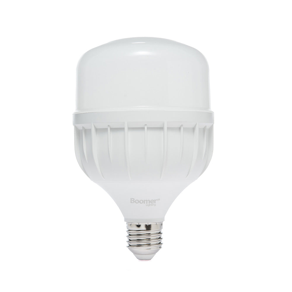 FOCO LED ALTA POTENCIA T, 30W, LUZ FRÍA, 2700 LM