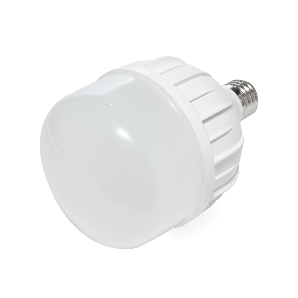 FOCO LED ALTA POTENCIA T, 30W, LUZ FRÍA, 2700 LM