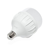 FOCO LED ALTA POTENCIA T, 30W, LUZ FRÍA, 2700 LM